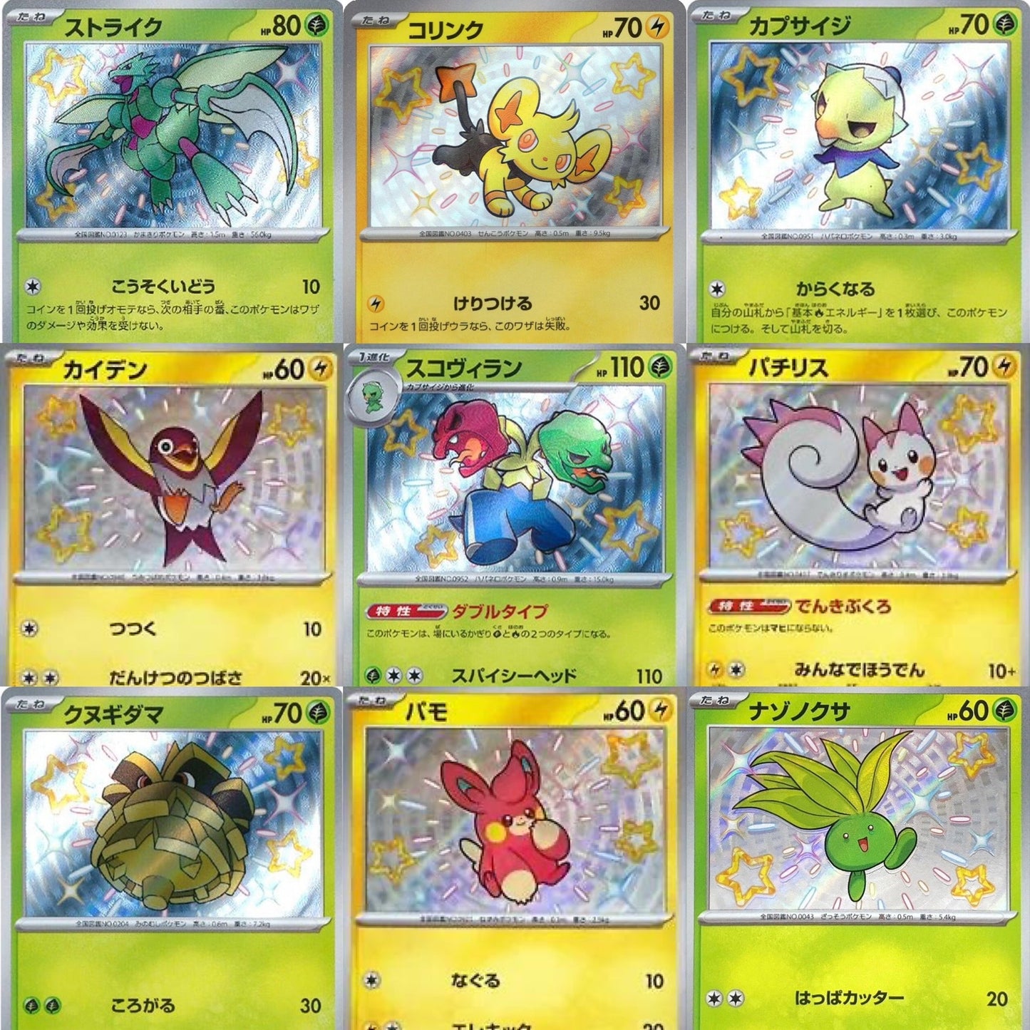 Japanese Baby Shiny